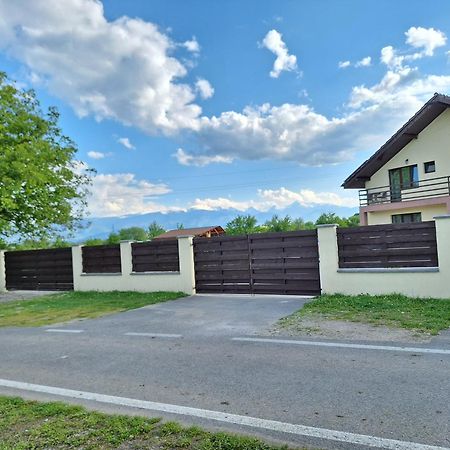 Pensiunea Daria Хацег Экстерьер фото